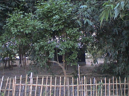 Chakratirth in Naimisharanya, Uttar Pradesh
