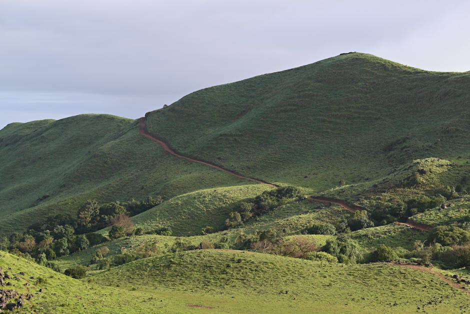 Banke Bihari Temple in Vrindavan, Uttar Pradesh