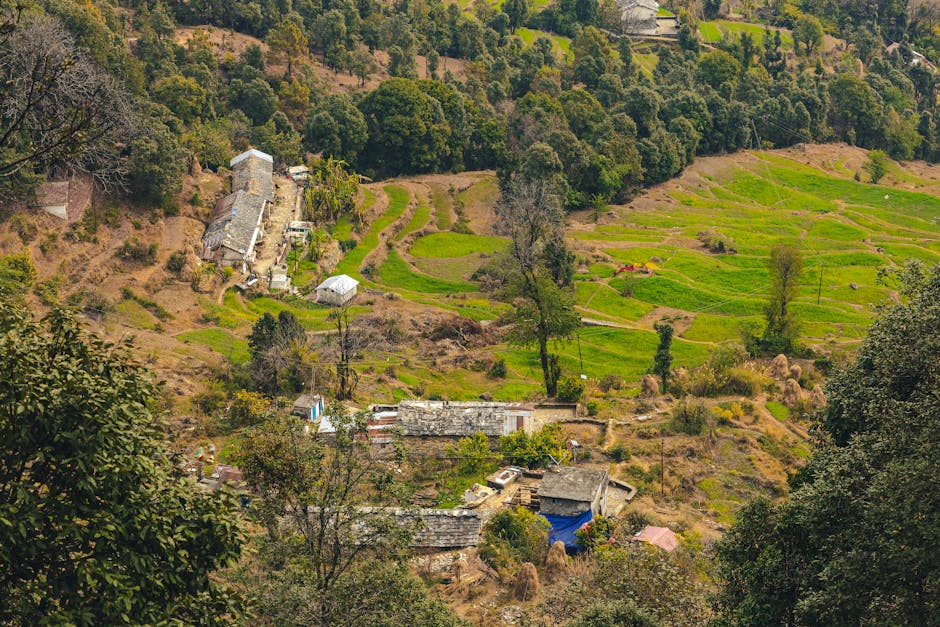 Chandrashila Summit in Chopta