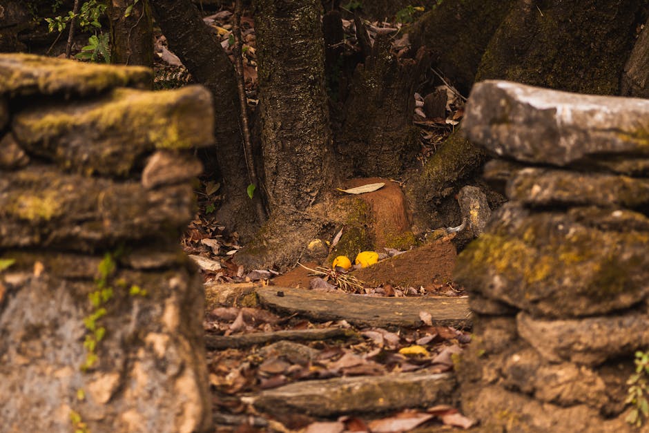 Haridwar — popular tourist destination in Uttarakhand