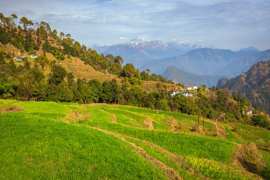 Scenic view of Haridwar, Uttarakhand