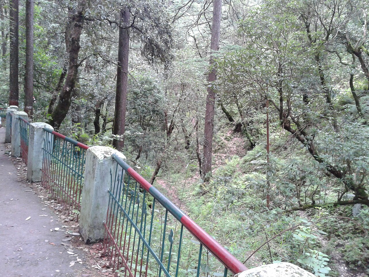 Bhulla Tal — Mumbai to Lansdowne trip