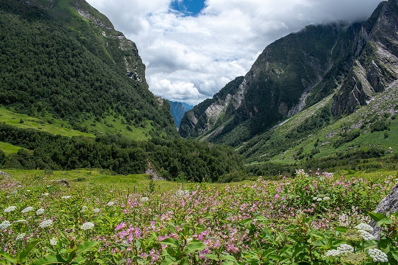 Valley of Flowers National Park in Valley of Flowers, Uttarakhand